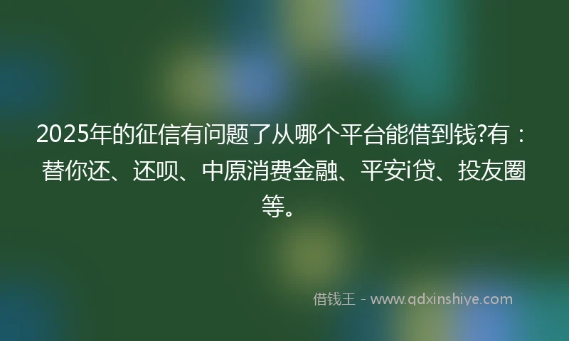 2025年的征信有问题了从哪个平台能借到钱?有：替你还、还呗、中原消费金融、平安i贷、投友圈等。