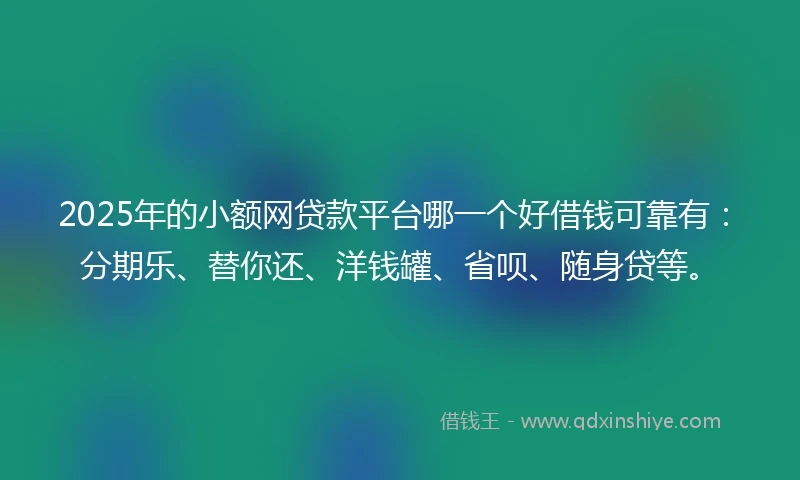 2025年的小额网贷款平台哪一个好借钱可靠有：分期乐、替你还、洋钱罐、省呗、随身贷等。