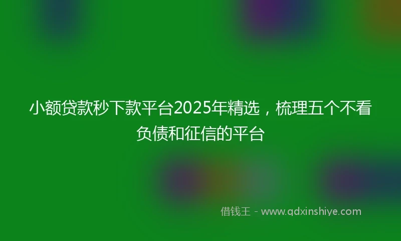 小额贷款秒下款平台2025年精选，梳理五个不看负债和征信的平台