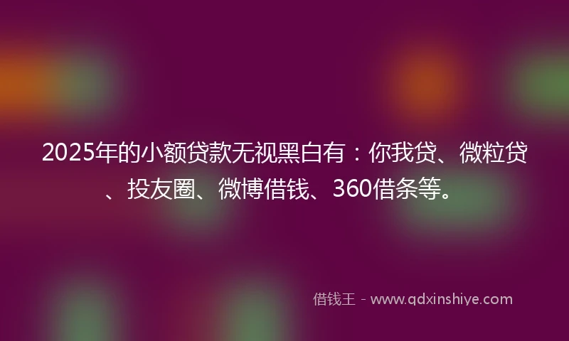 2025年的小额贷款无视黑白有：你我贷、微粒贷、投友圈、微博借钱、360借条等。