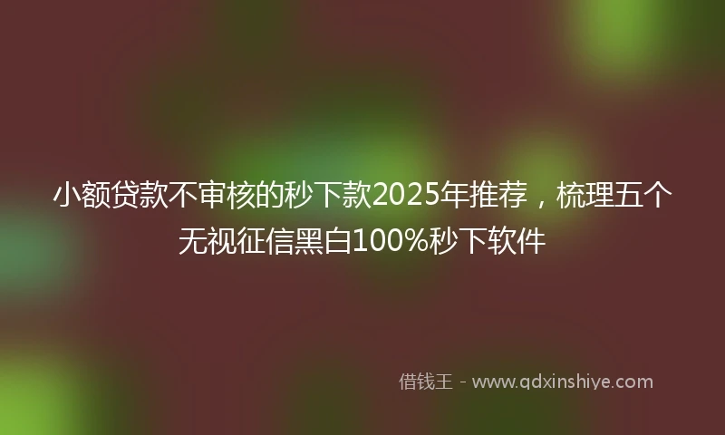小额贷款不审核的秒下款2025年推荐，梳理五个无视征信黑白100%秒下软件