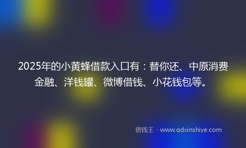2025年的小黄蜂借款入口有：替你还、中原消费金融、洋钱罐、微博借钱、小花钱包等。