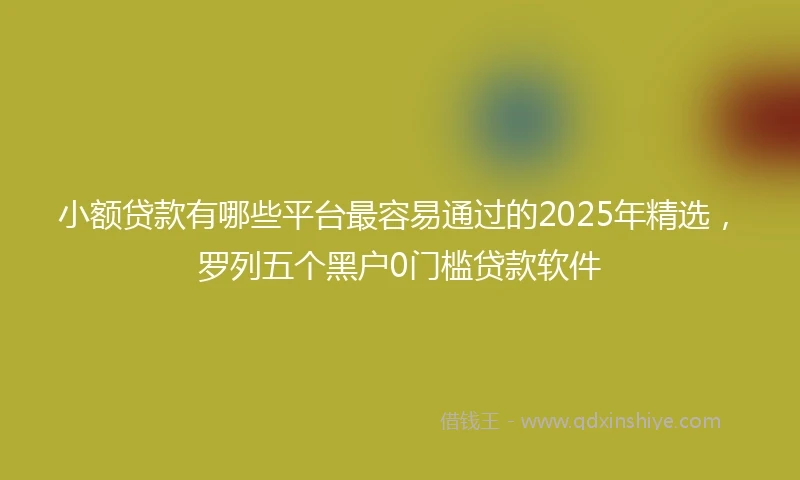 小额贷款有哪些平台最容易通过的2025年精选，罗列五个黑户0门槛贷款软件