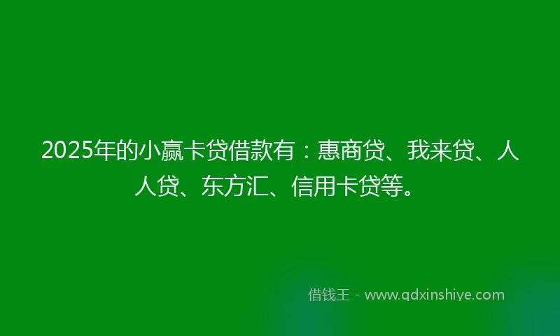 2025年的小赢卡贷借款有：惠商贷、我来贷、人人贷、东方汇、信用卡贷等。