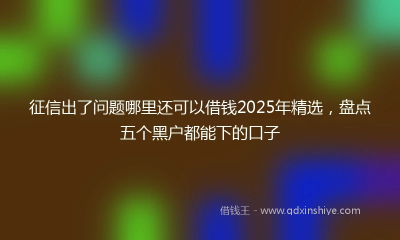 征信出了问题哪里还可以借钱2025年精选，盘点五个黑户都能下的口子