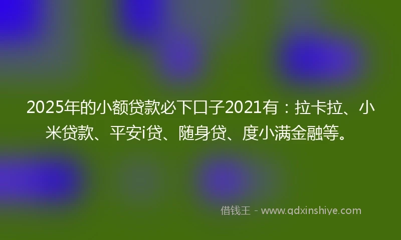 2025年的小额贷款必下口子2021有：拉卡拉、小米贷款、平安i贷、随身贷、度小满金融等。