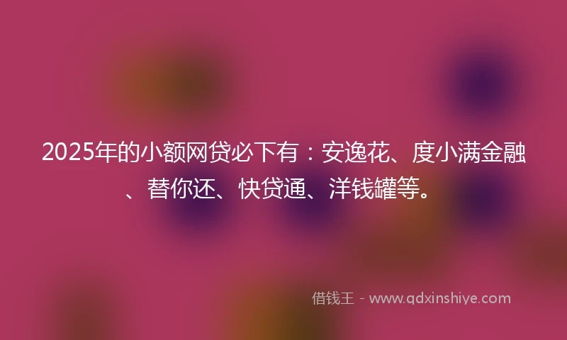 2025年的小额网贷必下有：安逸花、度小满金融、替你还、快贷通、洋钱罐等。