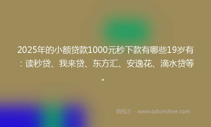 2025年的小额贷款1000元秒下款有哪些19岁有：读秒贷、我来贷、东方汇、安逸花、滴水贷等。