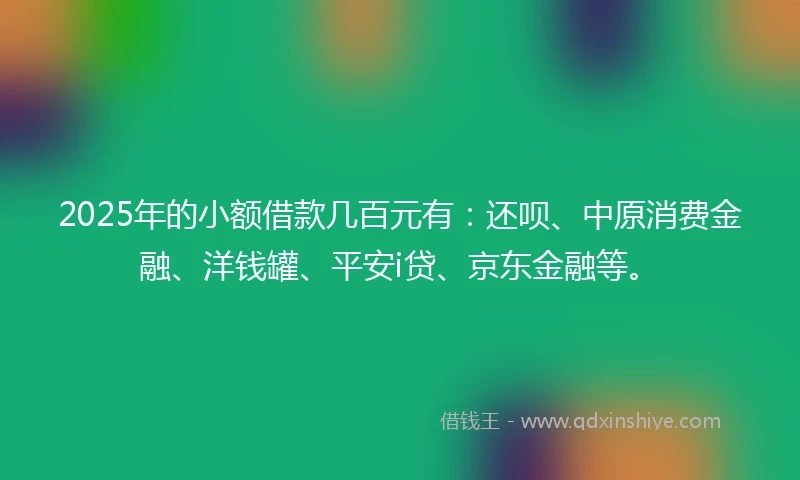 2025年的小额借款几百元有：还呗、中原消费金融、洋钱罐、平安i贷、京东金融等。
