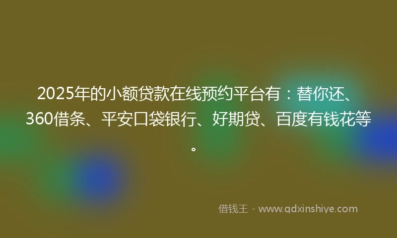 2025年的小额贷款在线预约平台有：替你还、360借条、平安口袋银行、好期贷、百度有钱花等。