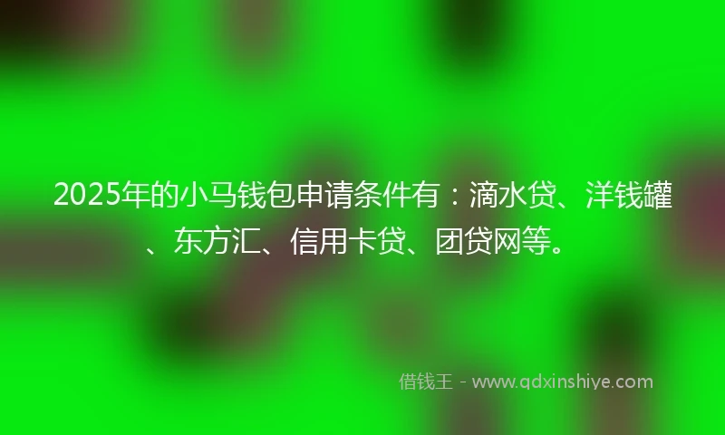2025年的小马钱包申请条件有：滴水贷、洋钱罐、东方汇、信用卡贷、团贷网等。