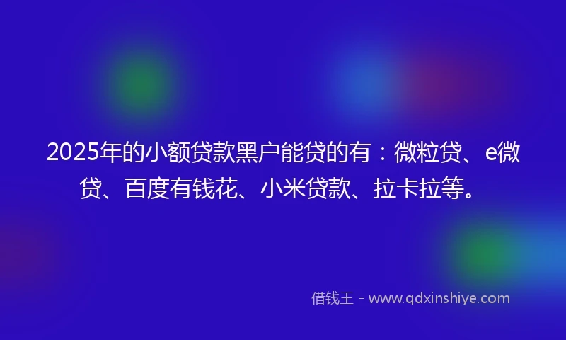 2025年的小额贷款黑户能贷的有：微粒贷、e微贷、百度有钱花、小米贷款、拉卡拉等。