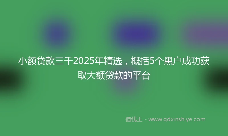 小额贷款三千2025年精选，概括5个黑户成功获取大额贷款的平台