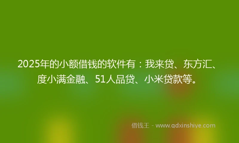 2025年的小额借钱的软件有：我来贷、东方汇、度小满金融、51人品贷、小米贷款等。