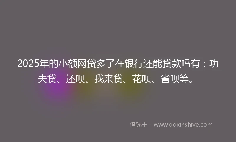 2025年的小额网贷多了在银行还能贷款吗有：功夫贷、还呗、我来贷、花呗、省呗等。
