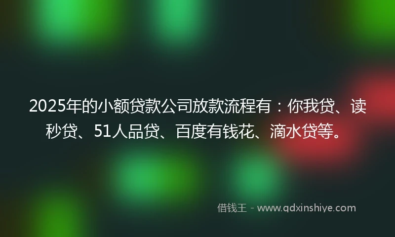 2025年的小额贷款公司放款流程有：你我贷、读秒贷、51人品贷、百度有钱花、滴水贷等。