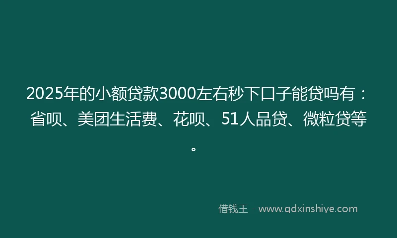 2025年的小额贷款3000左右秒下口子能贷吗有：省呗、美团生活费、花呗、51人品贷、微粒贷等。