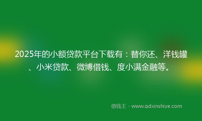2025年的小额贷款平台下载有：替你还、洋钱罐、小米贷款、微博借钱、度小满金融等。