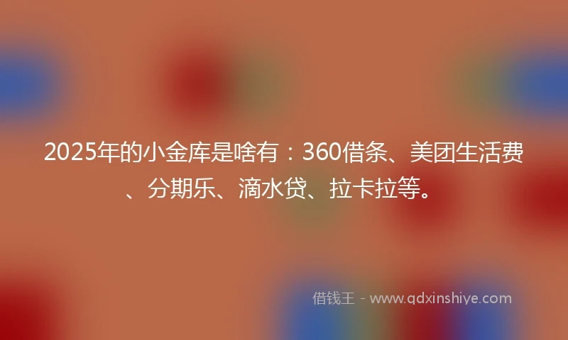 2025年的小金库是啥有：360借条、美团生活费、分期乐、滴水贷、拉卡拉等。