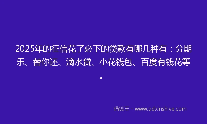 2025年的征信花了必下的贷款有哪几种有：分期乐、替你还、滴水贷、小花钱包、百度有钱花等。