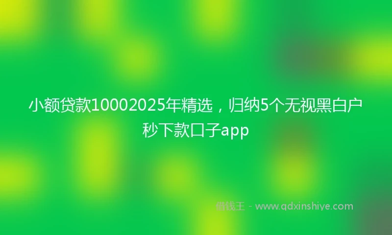 小额贷款10002025年精选，归纳5个无视黑白户秒下款口子app