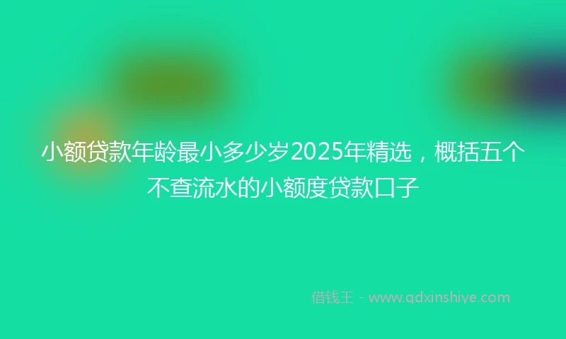 小额贷款年龄最小多少岁2025年精选，概括五个不查流水的小额度贷款口子