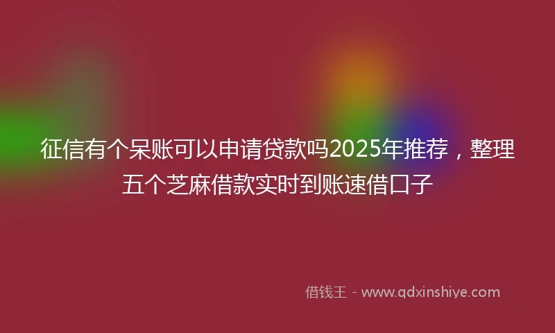 征信有个呆账可以申请贷款吗2025年推荐,整理五个芝麻借款实时到账速借口子