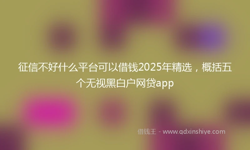 征信不好什么平台可以借钱2025年精选，概括五个无视黑白户网贷app