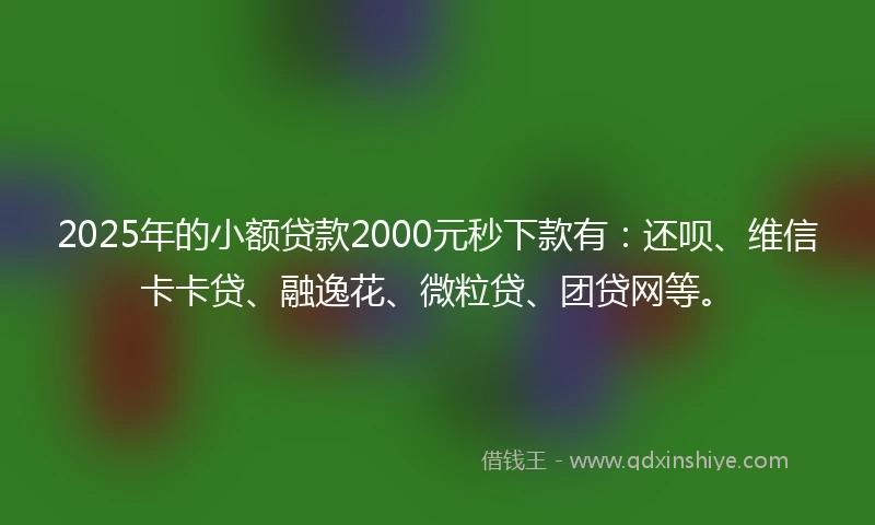 2025年的小额贷款2000元秒下款有：还呗、维信卡卡贷、融逸花、微粒贷、团贷网等。