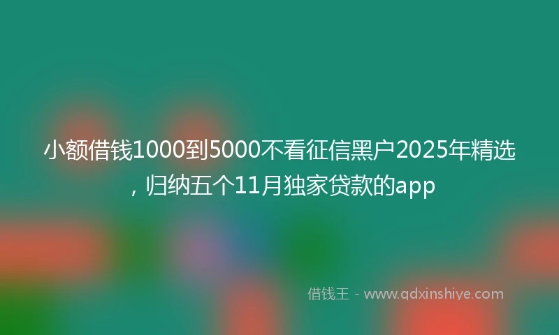 小额借钱1000到5000不看征信黑户2025年精选，归纳五个11月独家贷款的app