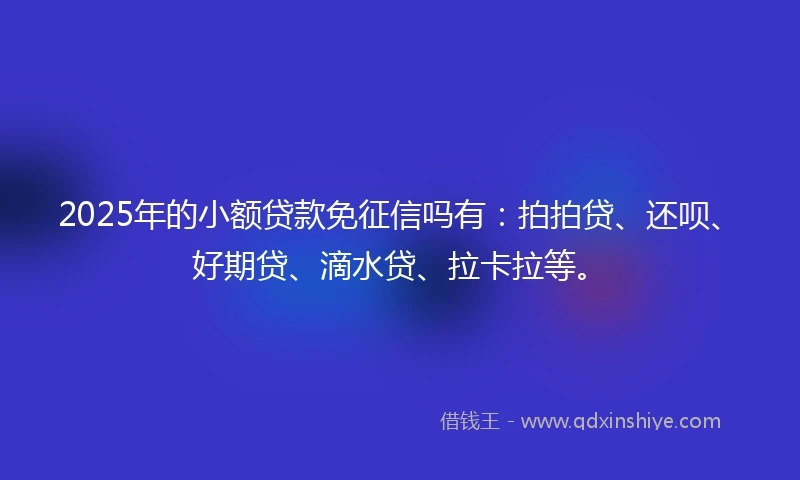 2025年的小额贷款免征信吗有：拍拍贷、还呗、好期贷、滴水贷、拉卡拉等。