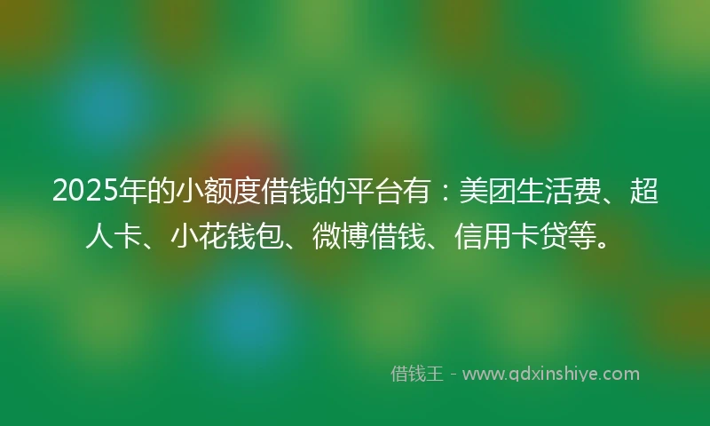 2025年的小额度借钱的平台有：美团生活费、超人卡、小花钱包、微博借钱、信用卡贷等。