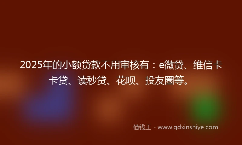 2025年的小额贷款不用审核有：e微贷、维信卡卡贷、读秒贷、花呗、投友圈等。