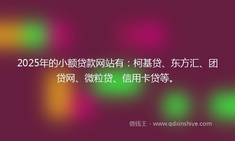 2025年的小额贷款网站有：柯基贷、东方汇、团贷网、微粒贷、信用卡贷等。