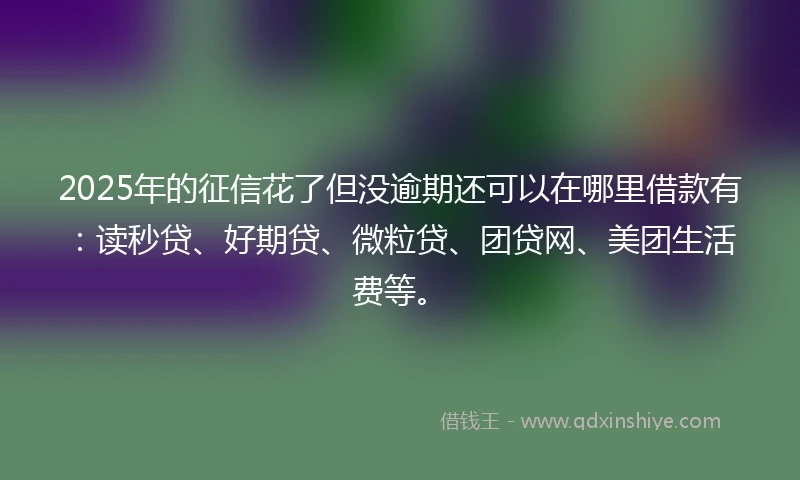 2025年的征信花了但没逾期还可以在哪里借款有：读秒贷、好期贷、微粒贷、团贷网、美团生活费等。