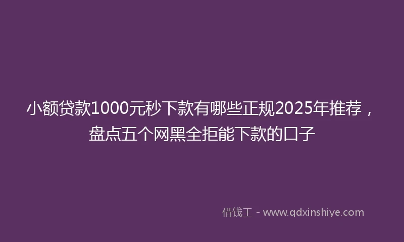 小额贷款1000元秒下款有哪些正规2025年推荐，盘点五个网黑全拒能下款的口子