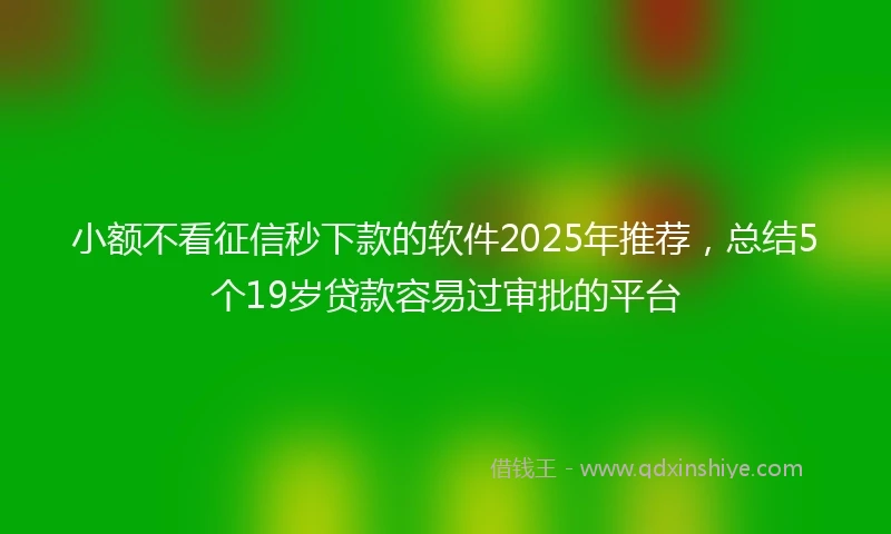 小额不看征信秒下款的软件2025年推荐，总结5个19岁贷款容易过审批的平台