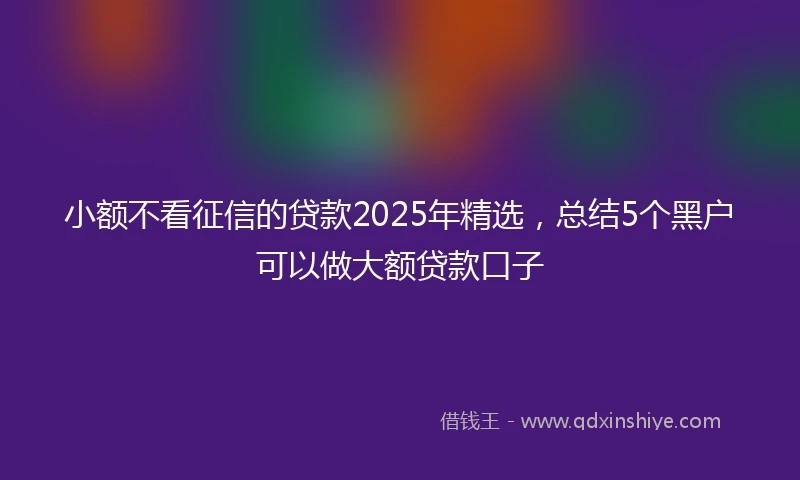 小额不看征信的贷款2025年精选，总结5个黑户可以做大额贷款口子