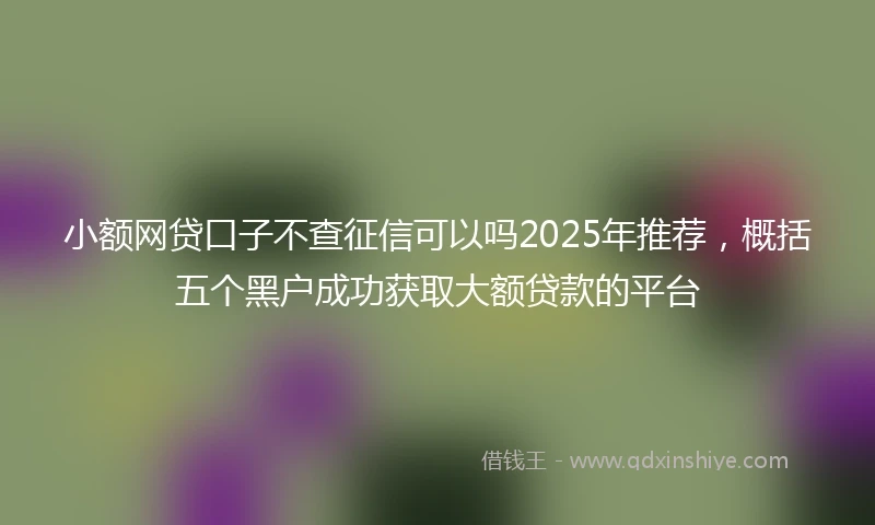 小额网贷口子不查征信可以吗2025年推荐，概括五个黑户成功获取大额贷款的平台