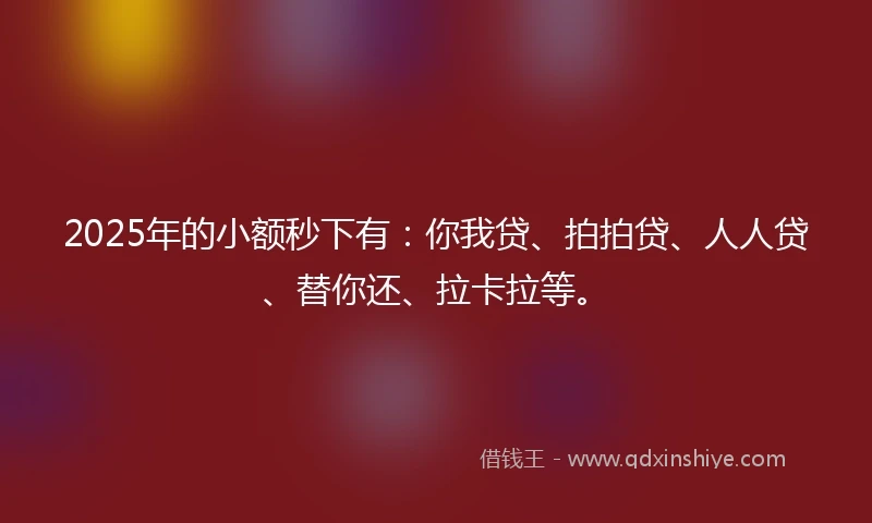 2025年的小额秒下有：你我贷、拍拍贷、人人贷、替你还、拉卡拉等。