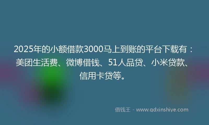 2025年的小额借款3000马上到账的平台下载有：美团生活费、微博借钱、51人品贷、小米贷款、信用卡贷等。