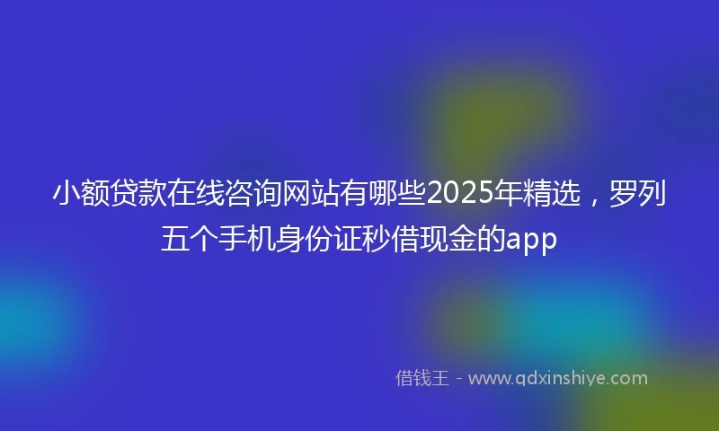 小额贷款在线咨询网站有哪些2025年精选，罗列五个手机身份证秒借现金的app