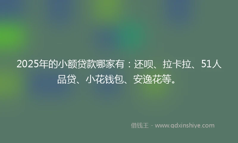 2025年的小额贷款哪家有：还呗、拉卡拉、51人品贷、小花钱包、安逸花等。