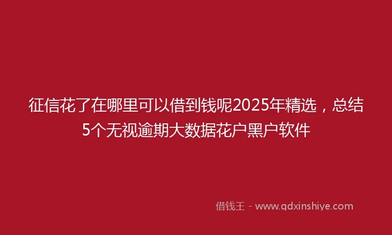 征信花了在哪里可以借到钱呢2025年精选,总结5个无视逾期大数据花户黑户软件
