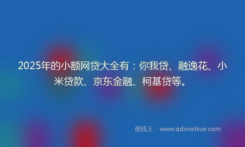 2025年的小额网贷大全有：你我贷、融逸花、小米贷款、京东金融、柯基贷等。