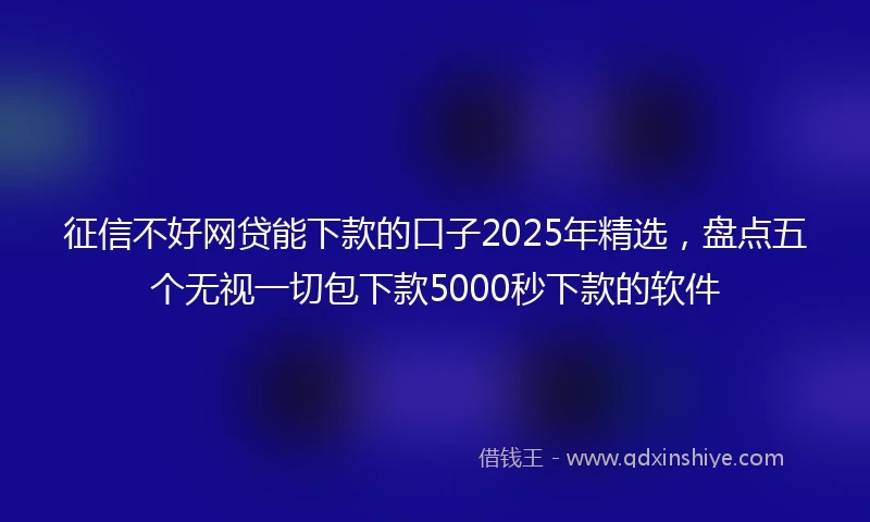 征信不好网贷能下款的口子2025年精选，盘点五个无视一切包下款5000秒下款的软件