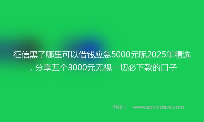 征信黑了哪里可以借钱应急5000元呢2025年精选，分享五个3000元无视一切必下款的口子