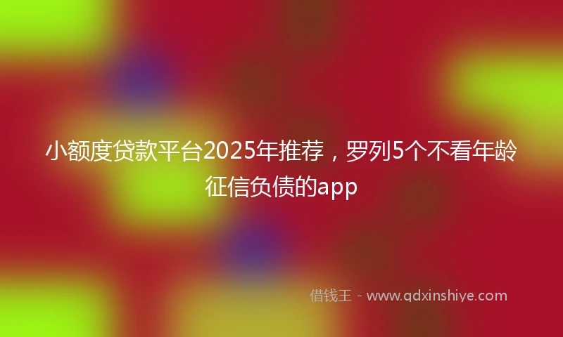 小额度贷款平台2025年推荐，罗列5个不看年龄征信负债的app