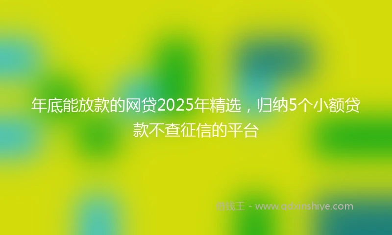 年底能放款的网贷2025年精选，归纳5个小额贷款不查征信的平台