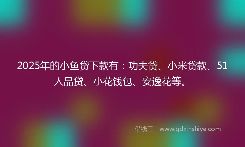 2025年的小鱼贷下款有：功夫贷、小米贷款、51人品贷、小花钱包、安逸花等。